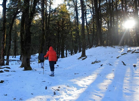 Nag Tibba trek