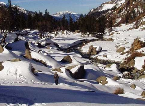 Pindari Glacier