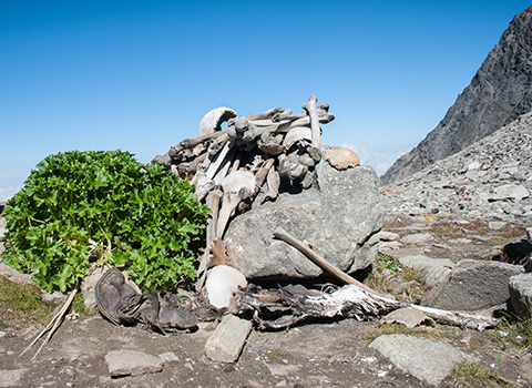 Roopkund Trek