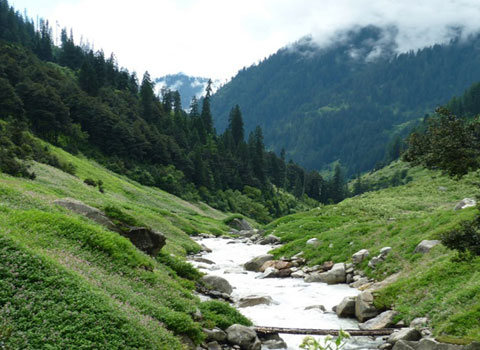 Valley of flowers